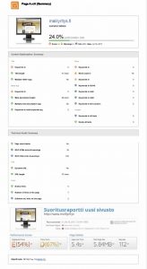 nettisivut malliraportti